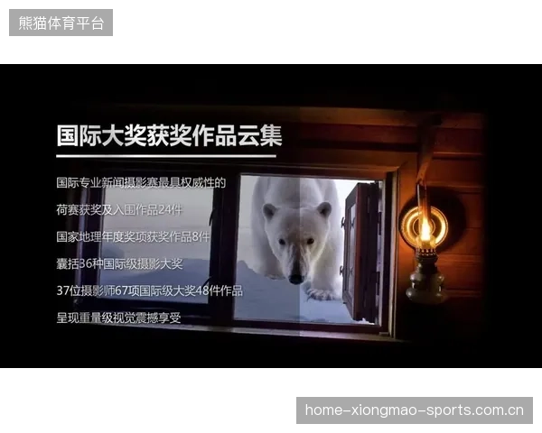 体育影像IP版权化，回放内容成新增收益